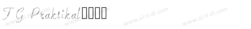 TG Praktikal字体转换